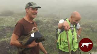 Setter Caza de Montaña