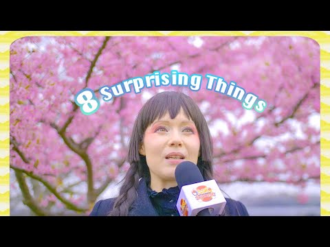 8德國人和日本人共有的驚人之處 (８Surprising Things that Germans and Japanese SHARE)