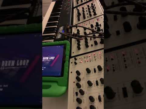 Adding some synth to XY-Beats just for fun - Oberheim sem 4 voice bass