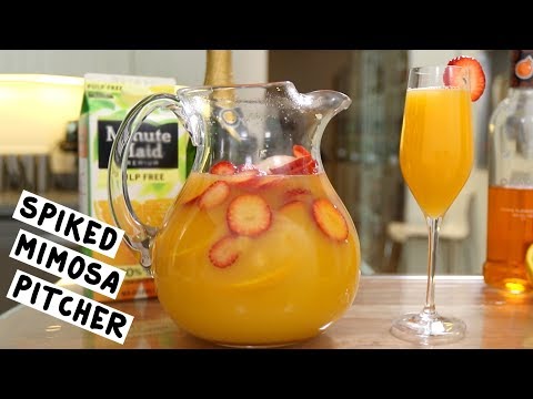 Spiked Mimosa Pitcher