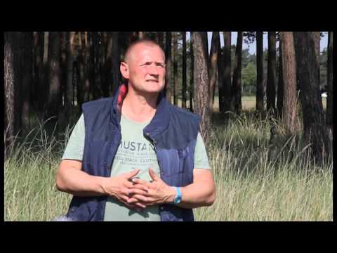 Faszination Vögel | Der Baumfalke in Mitteldeutschland