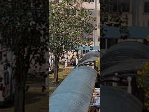 28.02.21 Blk 22 Jalan Tenteram lvl 2 house on fire !!!!!!!! SINGAPORE