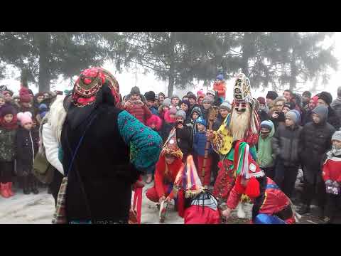 Cerut de la todiresti