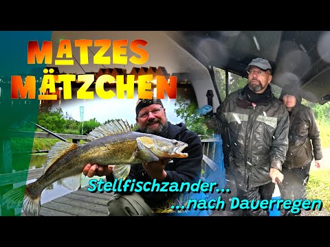 Matze's Antics - Zander Fishing After Continuous Rain - 10-2025