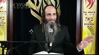 הרב מאור קריו – הזמנה אישית ההשגחה הפרטית שבכל פרטי הבריאה (הרב מאור קריו) - התמונה מוצגת ישירות מתוך אתר האינטרנט יוטיוב. זכויות היוצרים בתמונה שייכות ליוצרה. קישור קרדיט למקור התוכן נמצא בתוך דף הסרטון