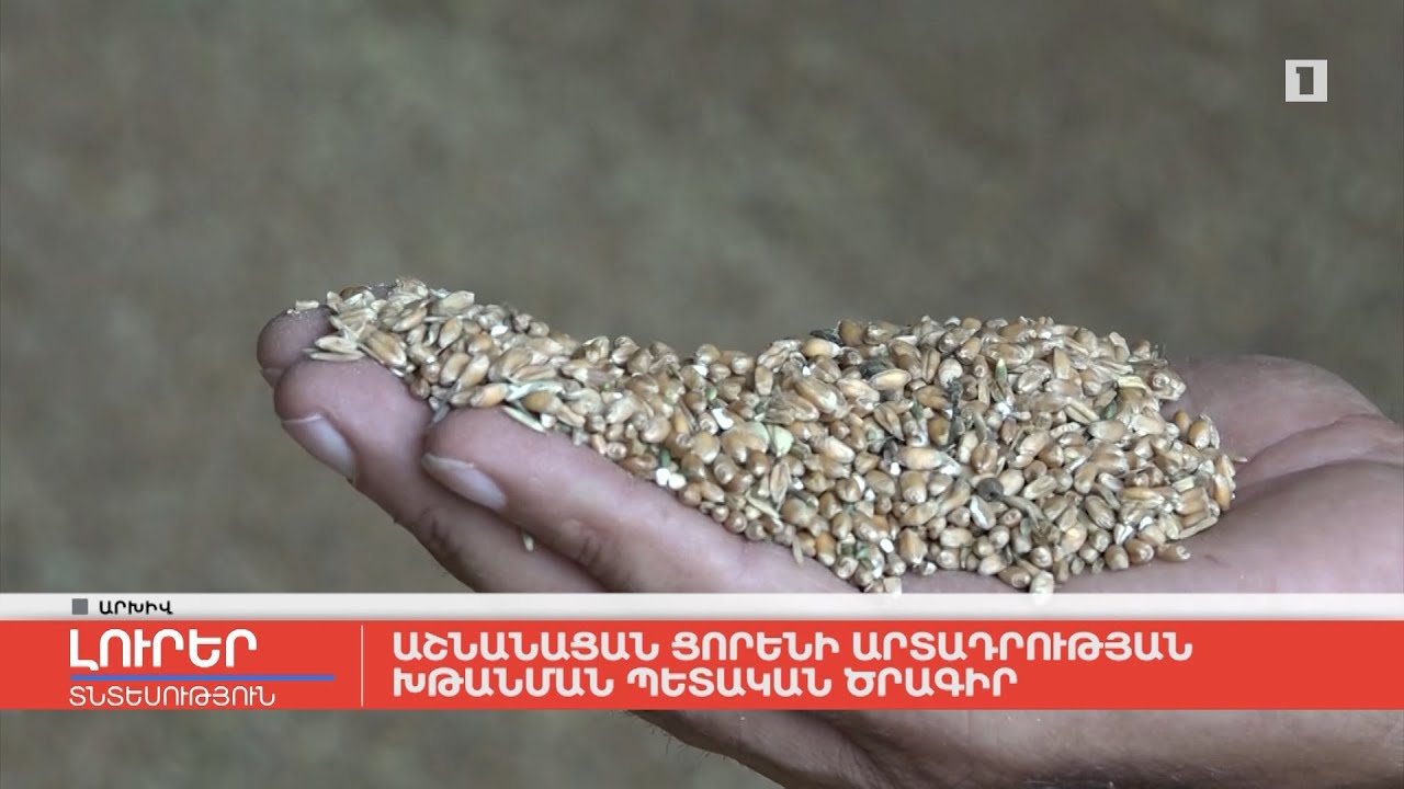 Աշնանացան ցորենի արտադրության խթանման պետական ծրագիր