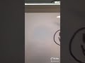 How To Move Rotate A Drawing In Procreate For IPad