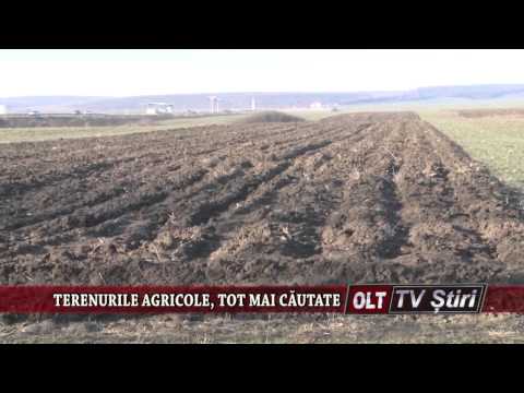 TERENURILE AGRICOLE TOT MAI CAUTATE 1501