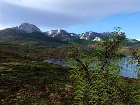 t killah i loya vermis