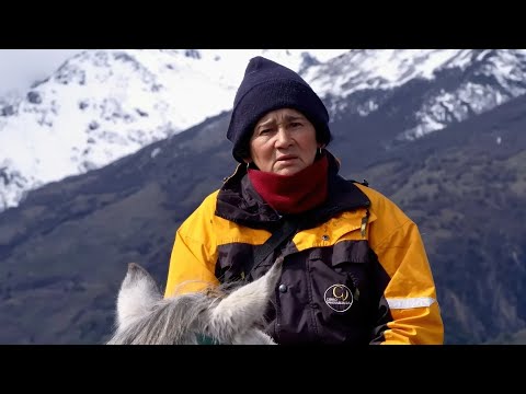 El Último Viaje de la Lana HD