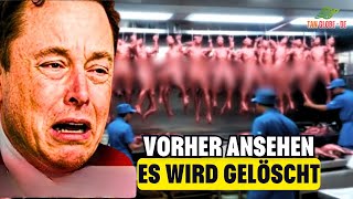 Düstere Geheimnisse In Amerikas Lieblingsessen – Du Würdest Es Nie Essen! Documentation