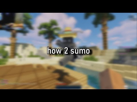 how 2 sumo (tutorial)