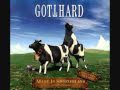 Gotthard Dream on