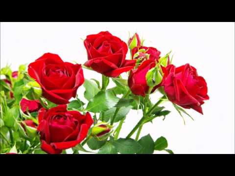 INMENSO AMOR : PASILLO ECUATORIANO DE ORO.