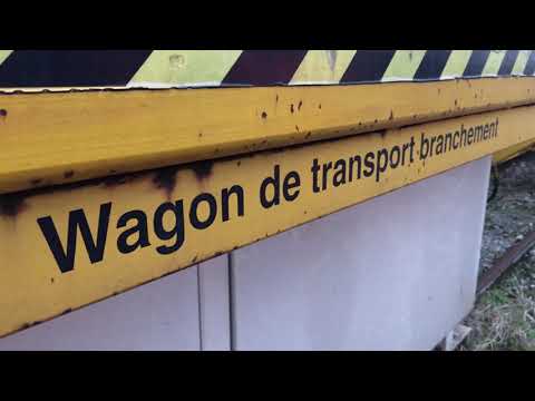 Einar zeigt Eisenbahn: Weichentransportwagen