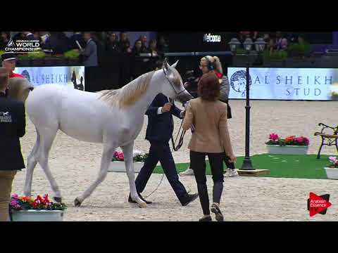 AHWC Paris 2017 - Class 1A