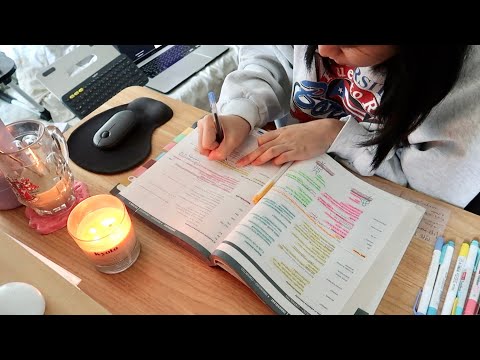 study with me | 30 minutes, real time, no music