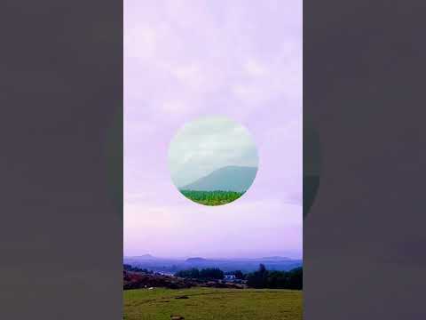 Heaven on earth #beach#beachlife #beachvibes