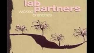 Lab Partners - Love Don't Care