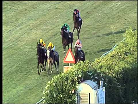 Galoppo 05/08/2015 - 1° corsa