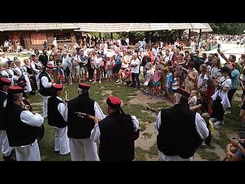 Lis Plješevica - Gon goveda Maro moja na Plitvicama , 11. 08. 2019.