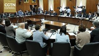 Se producen protestas públicas en Japón contra la creación del Consejo Nacional de Inteligencia