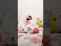 Tante N Ponakan