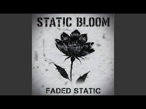 Static Bloom