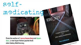 Self-Medicating from the new novel ESC_KEY by John Oakley McElhenney. #hyperfiction