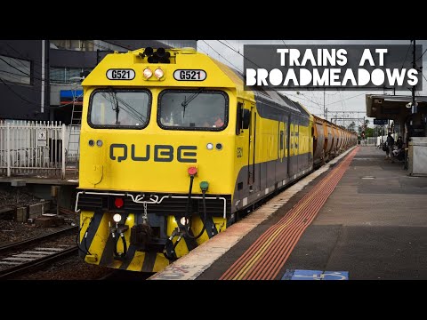 Trains at Broadmeadows - April 2022