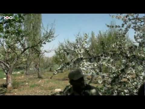 تقرير الإعلامي محمد معاذ عن لواء تحرير الشام العامل في منطقة القلمون في ريف دمشق