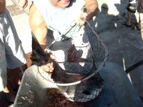 Kung ano ang kumain sa mawala timbang sa nakalipas na buwan Kung saan at kung paano bumili ng xenical