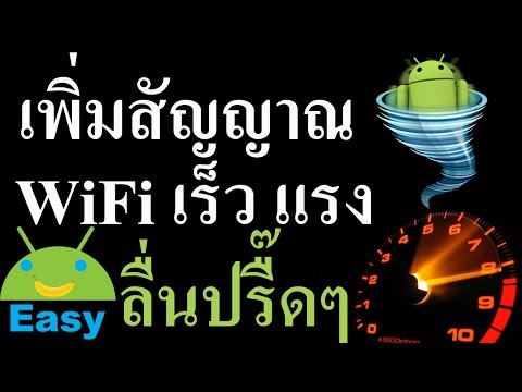 Amanita รักษาความอ่อนแอ ความอ่อนแอเมื่อเป็นสมาชิกของนุ่ม