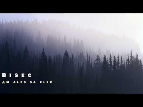 Bisec - am ales sa plec