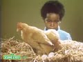 Sesame Street Episode 3981 FULL
