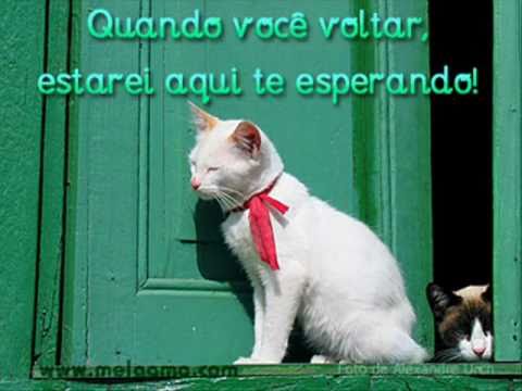 Limão com Mel (Part. pholhas) - Volta se ainda me ama