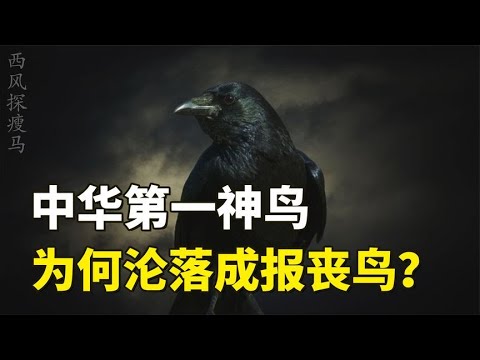 烏鴉顏色