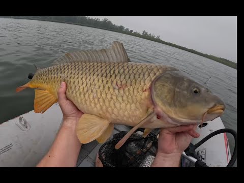 Bottom Bouncing for...Carp? - New Personal Best!