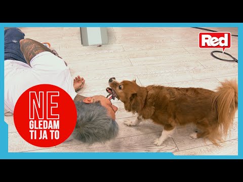 Urnebesne Filipove vežbe sa psom - Ne gledam ti ja to - 28.01.2022. - Red TV