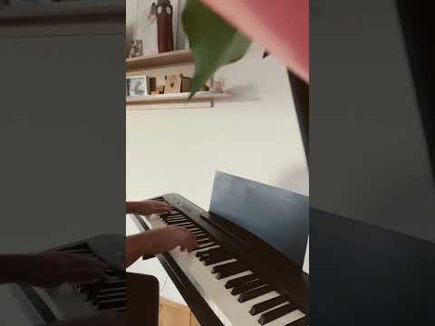 Karlo Bozic - Ne klepeci nanulama (Piano, cover)