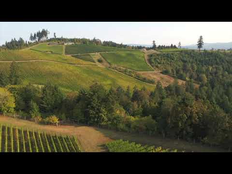 Fairsing Vineyard Profile | Et Fille Wines