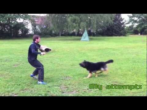 Schutzhund / IPO Protection Dog Training with Lehr-Helfer Dirk Wernet