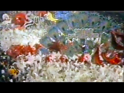 SALGUEIRO 1984 (Compacto Especial)