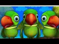 Main Tota Main Tota Hare Rang Ka Hu Dikhta Poemforkidsinhindi Parrots Cartoon
