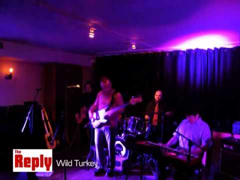 The Reply - Wild Turkey