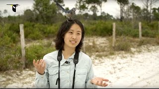 The Genomics of Extinction