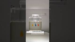 É possível reverter a mistura de cores 🤔 #curiosidades #fatoscuriosos #shorts