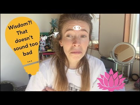 Wisdom Bombs from San Fran  // LAURA THE EXPLORA