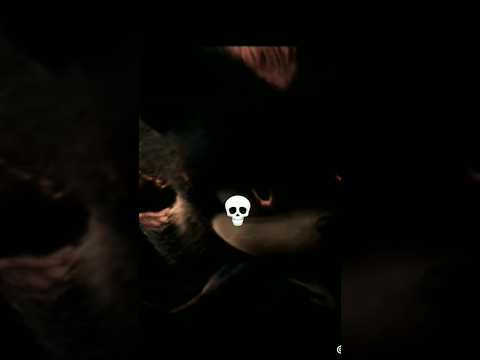 Sonic 3 La Película es muy...💀 #song #music #cover #sonicthehedgehog #sonic3lapelicula #sonic