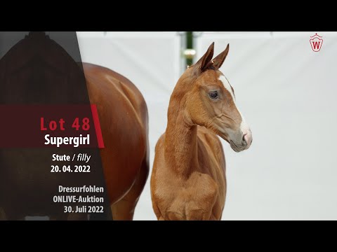 OnLive-Auktion Lot 48 Supergirl Stute v. Santos  - Rock Amour